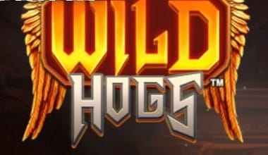 Wild Hogs
